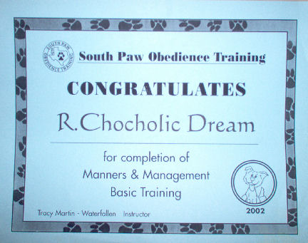 R Chocohalic Dream Ob training
