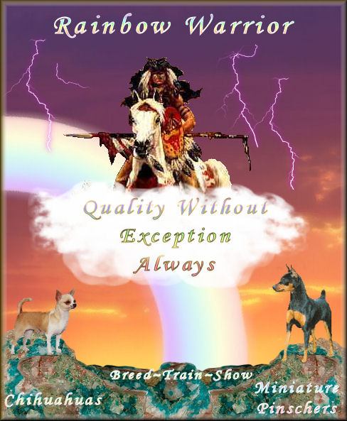 Rainbow Warrior Kennel SIM show dogs